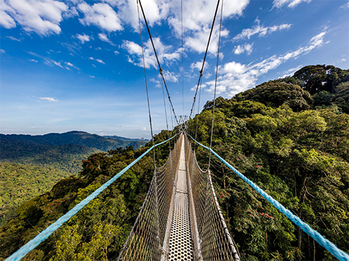 Nyungwe Forest National Park