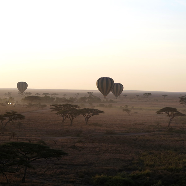 hot-balloon hot-balloon